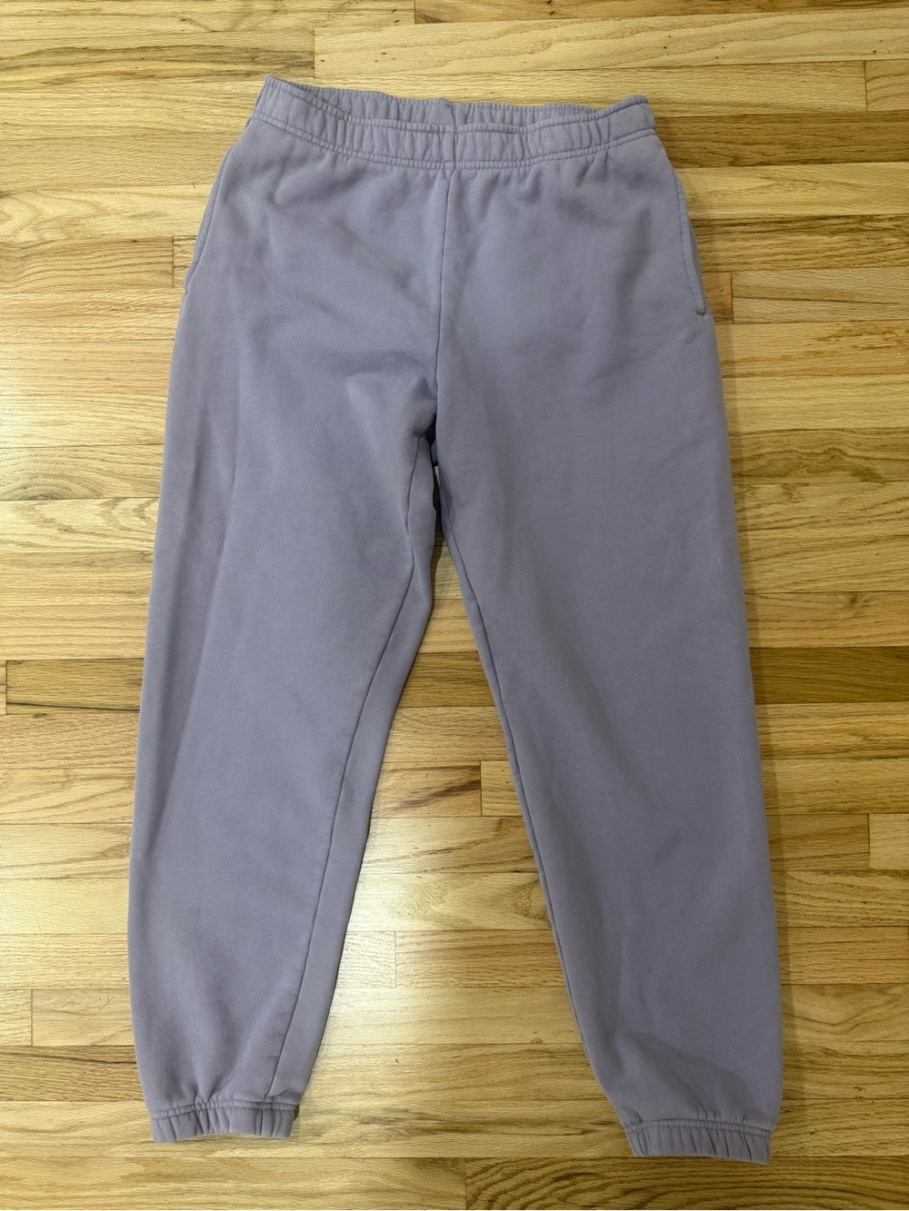 Aritzia TNA Joggers